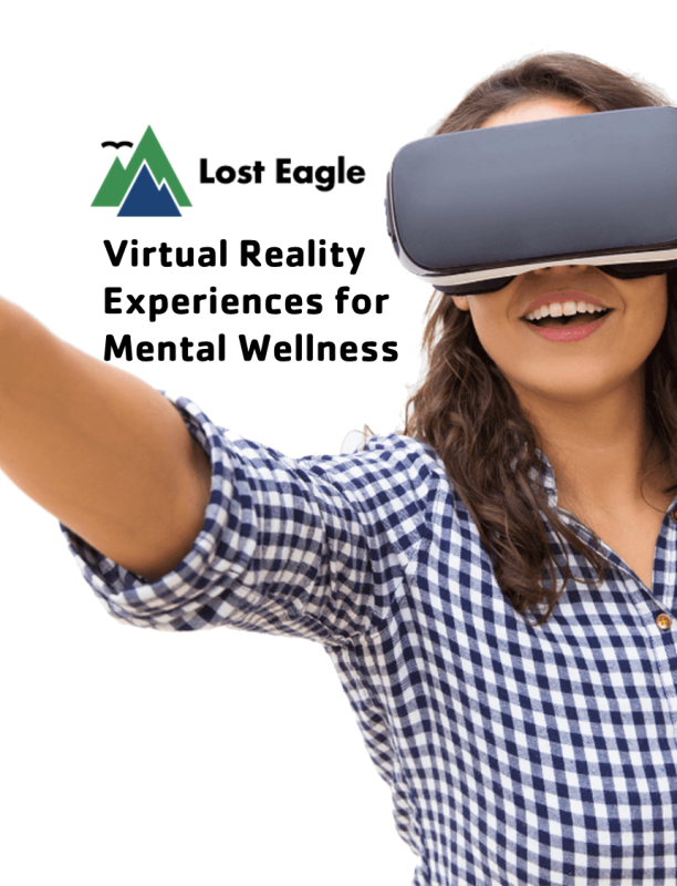 Picture2 VR Lost Eagle